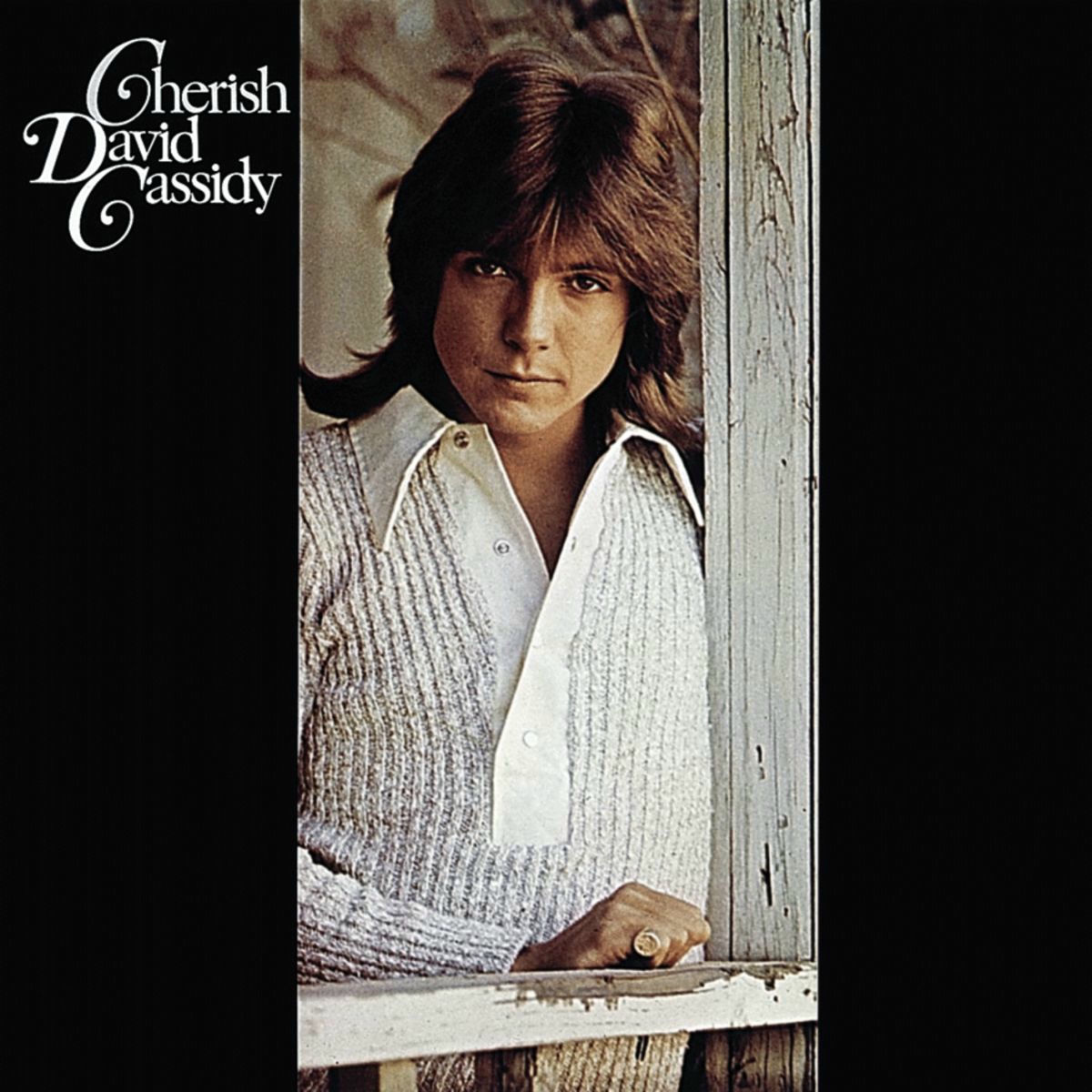 David Cassidy
